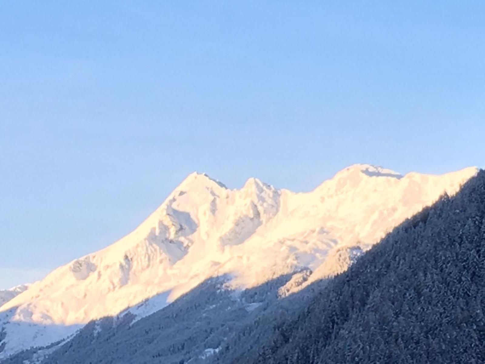Haus Steinbock Bed & Breakfast Neustift im Stubaital Ngoại thất bức ảnh
